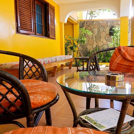 O Jardim Do Vinho, Ac Bed & Breakfast Praia Exterior photo