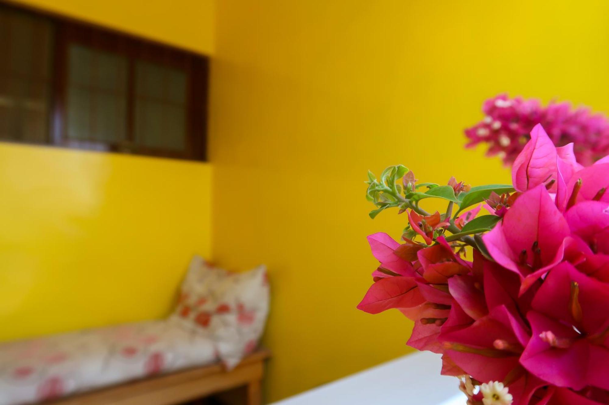 O Jardim Do Vinho, Ac Bed & Breakfast Praia Exterior photo